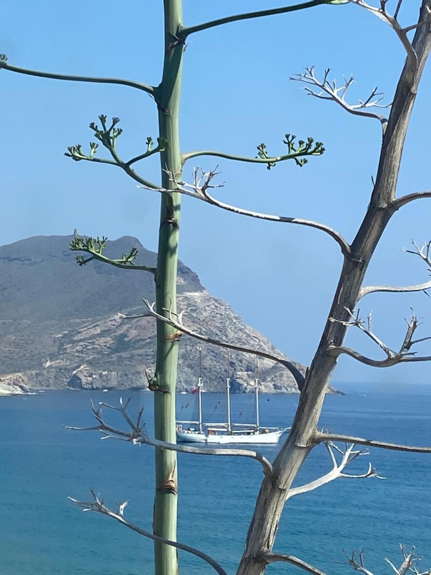 Vila Casa Energia Del Cabo. San Jose Cabo De Gata. Exteriér fotografie
